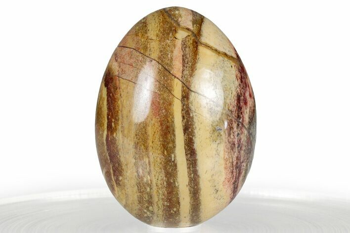 Polished Rainbow Jasper Egg - South Africa #356399